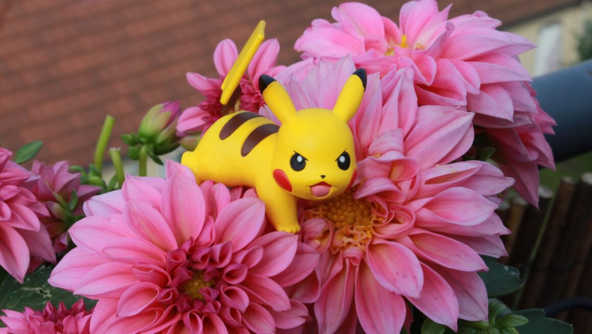 Pink-Colored Shiny Pokémon Worth Catching