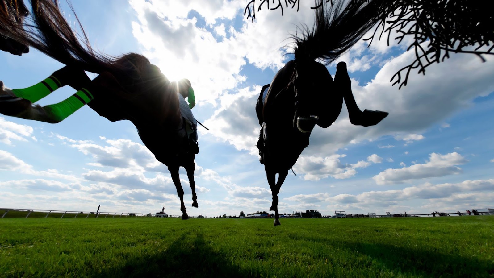5 Strategies for Horse Racing Betting Success