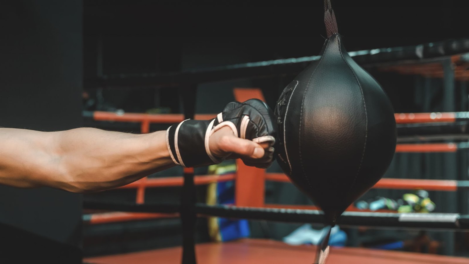 From Social Media Buzz to In-Play Betting: How Technology is Changing the Sport of Boxing