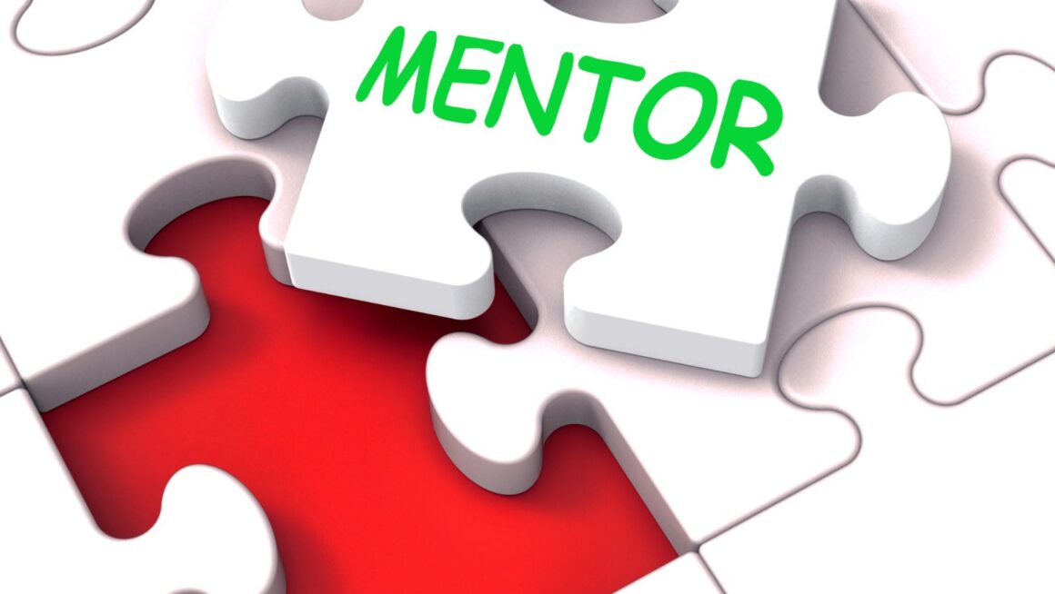 which of the following most accurately describes good mentoring practice