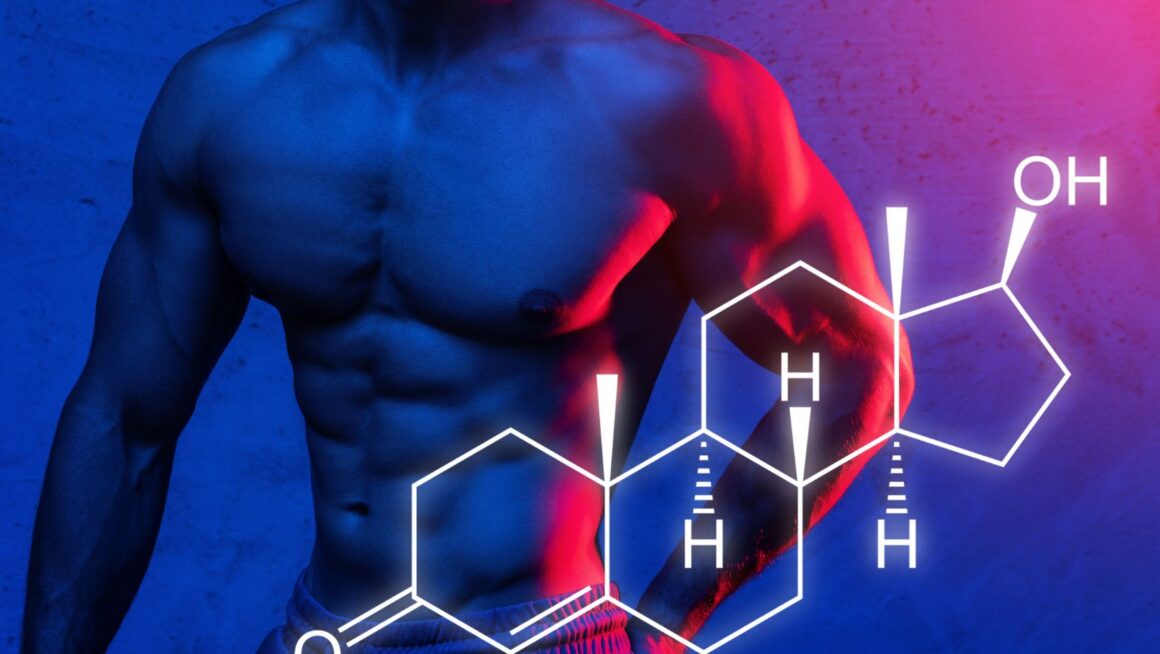 high levels of testosterone inhibit the release of
