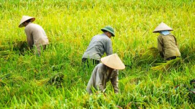 in the 1870s, the system of sharecropping failed to