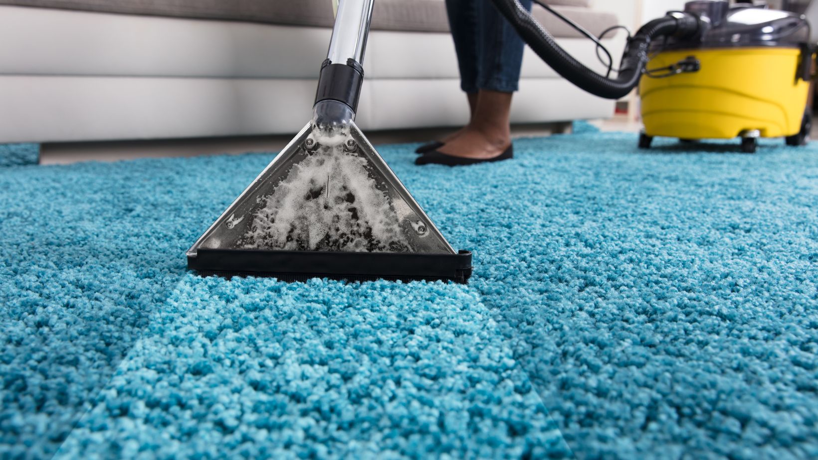 Breathe Easier: The Health Benefits of Professional Carpet Cleaning