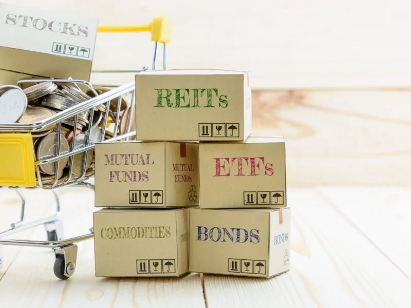Buy Term Papers