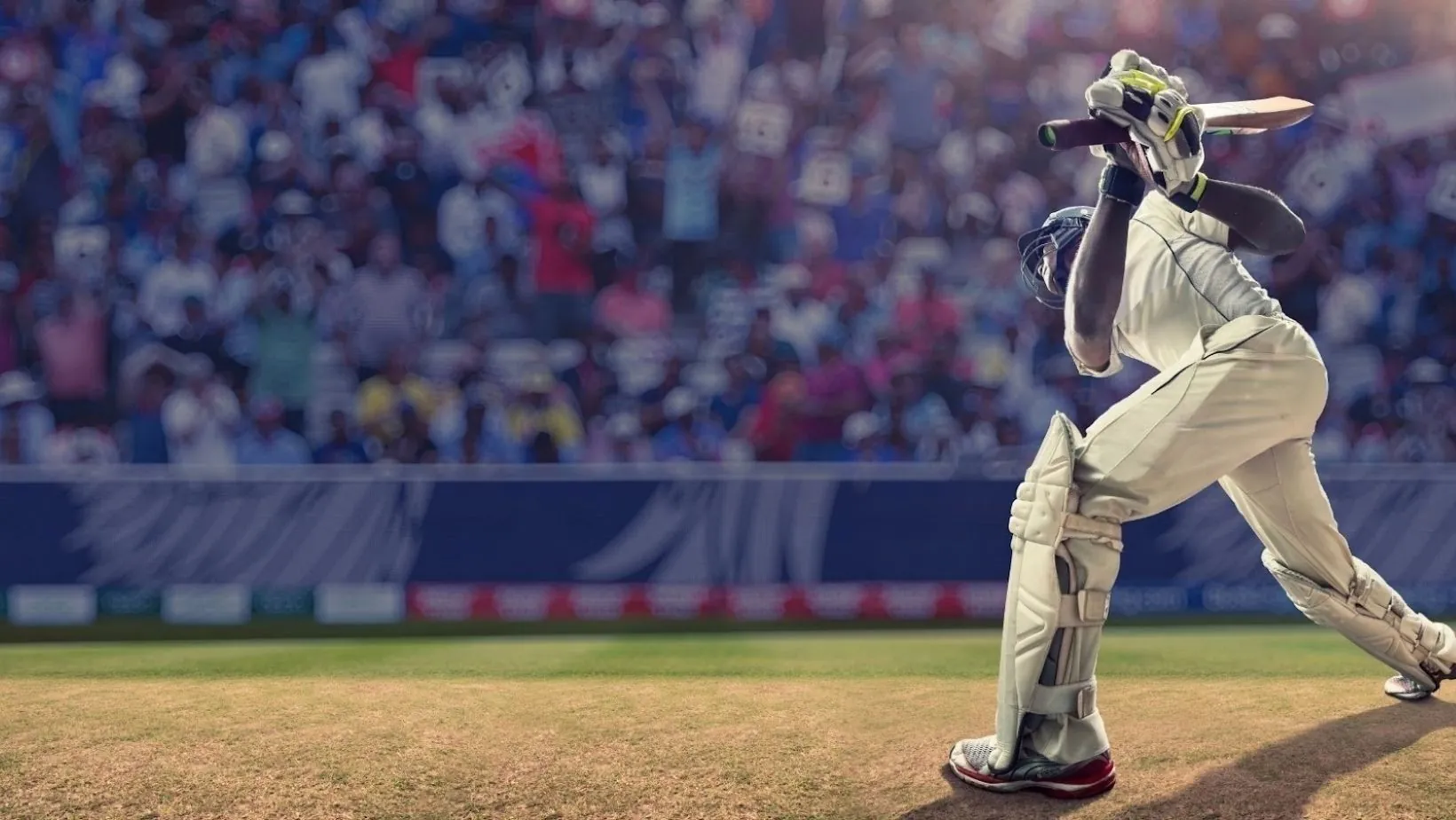 Rajasthan Royals Cricket Team 