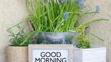weekend good morning saturday
