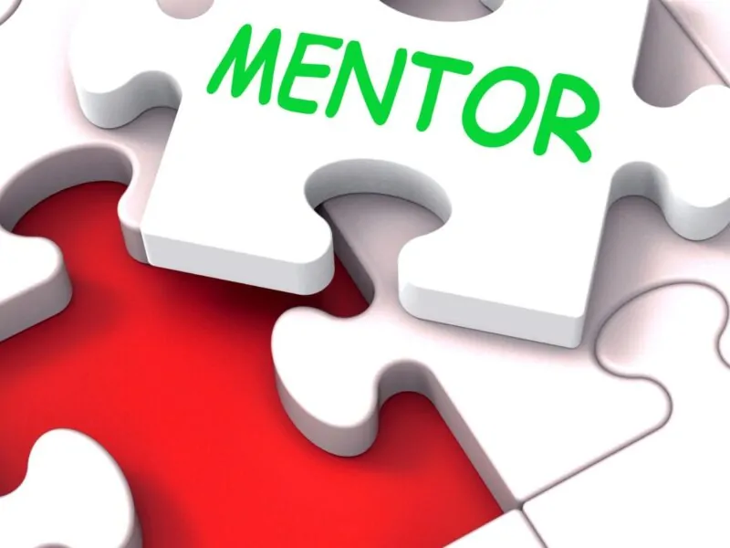 which of the following most accurately describes good mentoring practice