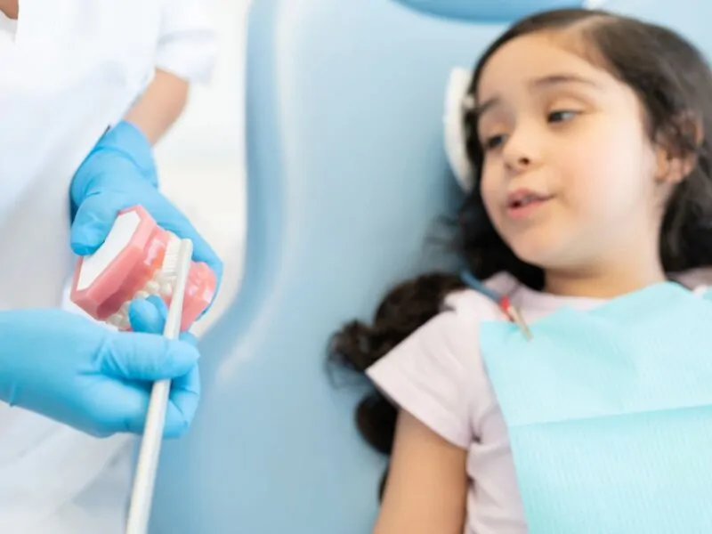 select the statement that is true concerning primary teeth.