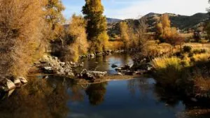 Libby Stimpson Utah Weber Rive