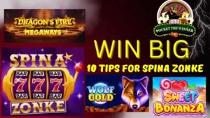 hollywoodbets.net spina zonke