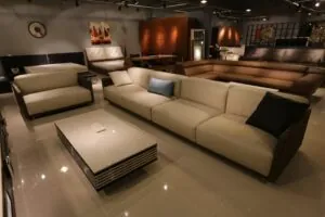 www.forzza.com