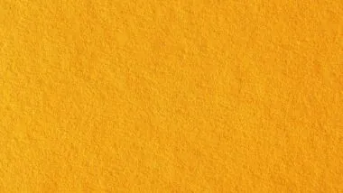 warna mustard seperti apa