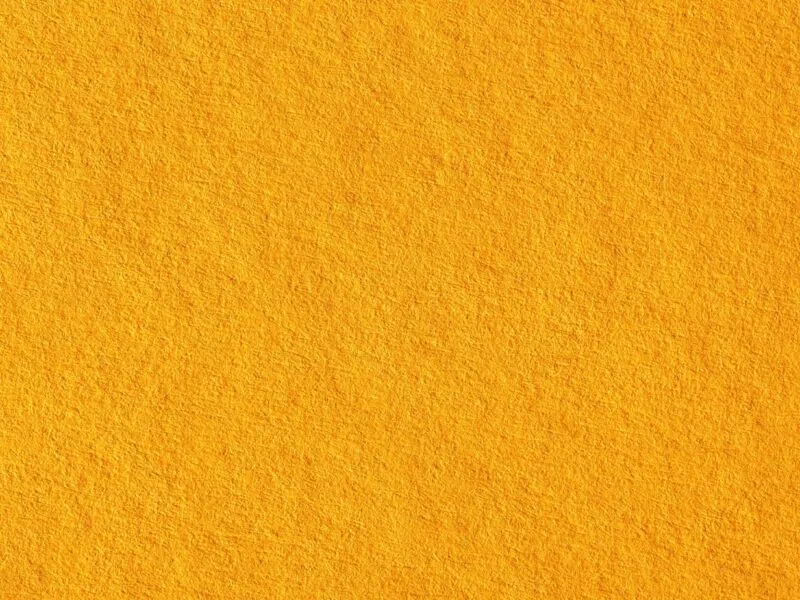 warna mustard seperti apa