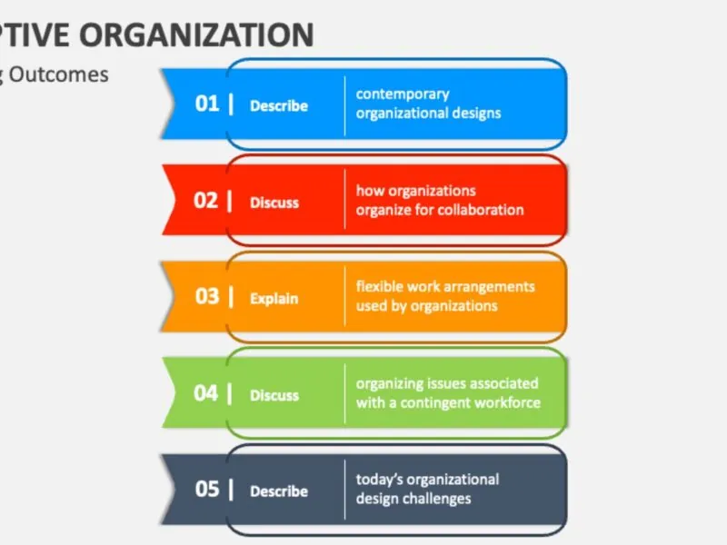 fondasi organisasi adaptif terdiri atas