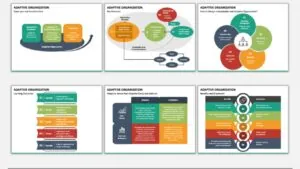 fondasi organisasi adaptif terdiri atas